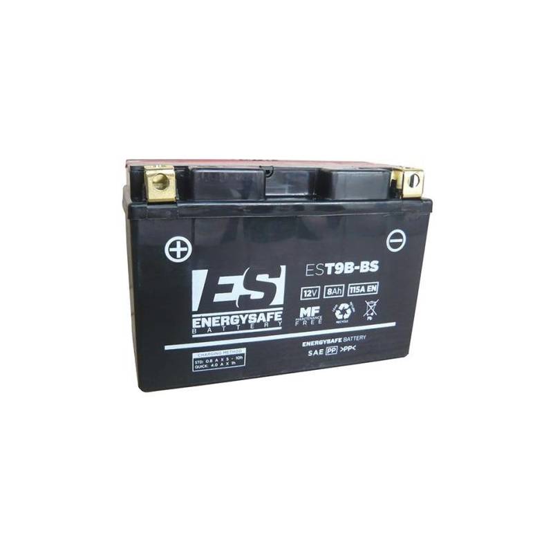 Batería EnergySafe T9B-BS 12V 8 Ah