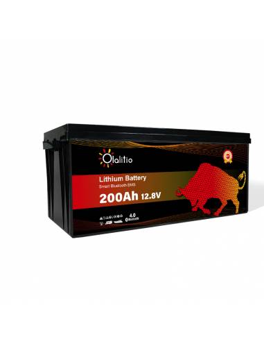 Batería litio para Camper 200Ah 12V ᐅ DBaterías.com