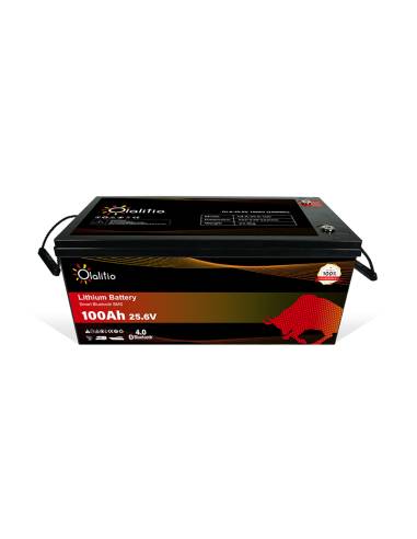 Batería litio solar 100Ah. 24V. con Bluetooth 4.0