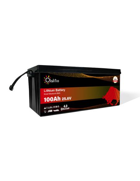 Batería litio solar 100Ah. 24V. con Bluetooth 4.0