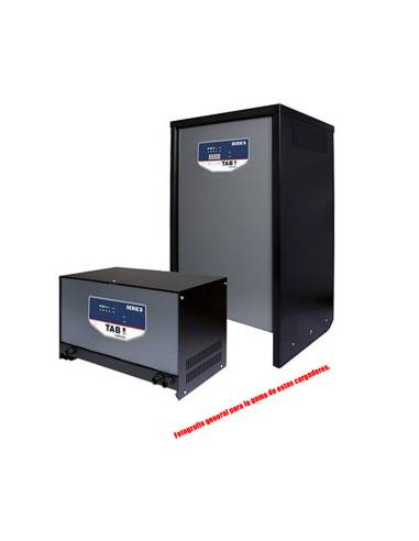 Cargador de Baterías Industrial 48V 100A: Para Carretillas Elevadoras.