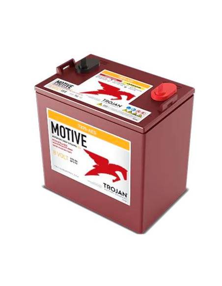 Batería Trojan T-875 AES 8V 170Ah ••ᐅ【DBaterías.com】