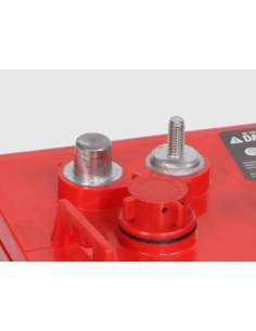 Rolls 6 FS GC SC Batería Deep Cycle - Dbaterias.com 2