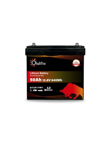 Batería Olalitio 50 Ah LiFePO4 | Energía para Autocaravanas y Barcos