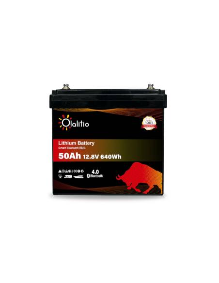 Batería Olalitio 50 Ah LiFePO4 | Energía para Autocaravanas y Barcos