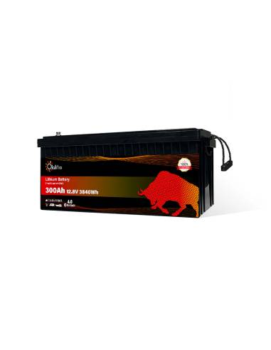 Batería Olalitio 300 Ah LiFePO4 | Energía para Autocaravanas y Barcos